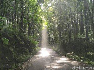 Sayang Banget, Wisata Alam Blitar Ini Tak Terawat dan Bau Tak Sedap