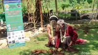 Sepasang pengantin ini juga melakukan penanaman bibit pohon kelapa.