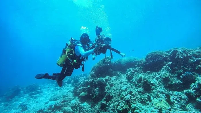 Wisata selam Ambon