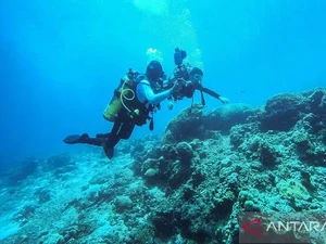 Ada Kelonggaran Syarat Bepergian, Wisata Selam Ambon Mulai Menggeliat