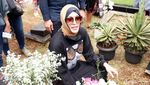Doa Angelina Sondakh di Makam Adjie Massaid