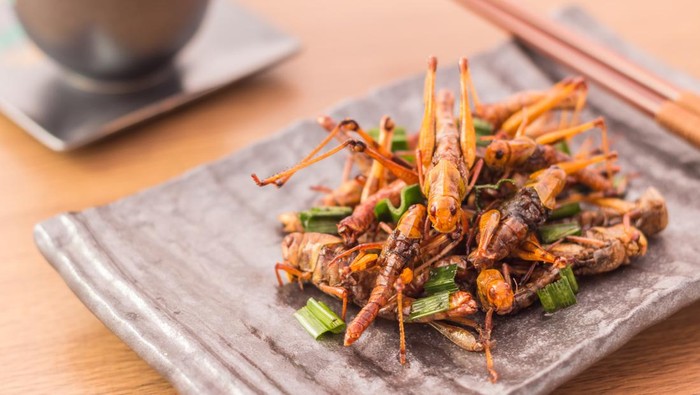 Belalang Goreng