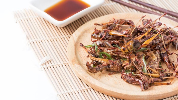 Belalang Goreng