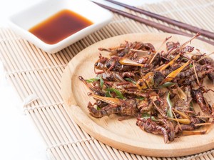 Alasan Bakul Walang Goreng di Gunungkidul Ganjal Toples Pakai Kardus