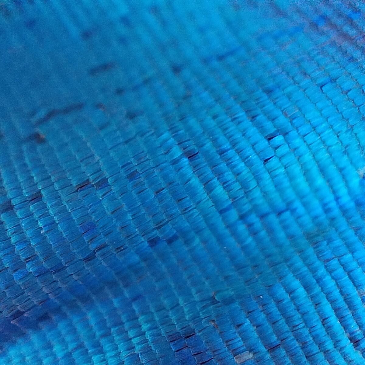 Hasil kamera Microlens OPPO Reno7.