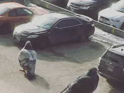 Awas! Ilusi Optik Ini Menipu Mata