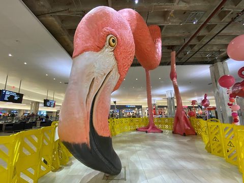 Instalasi flamingo raksasa