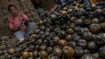Jelang Ramadan, Petani Kolang-kaling Mulai Tersenyum Lebar