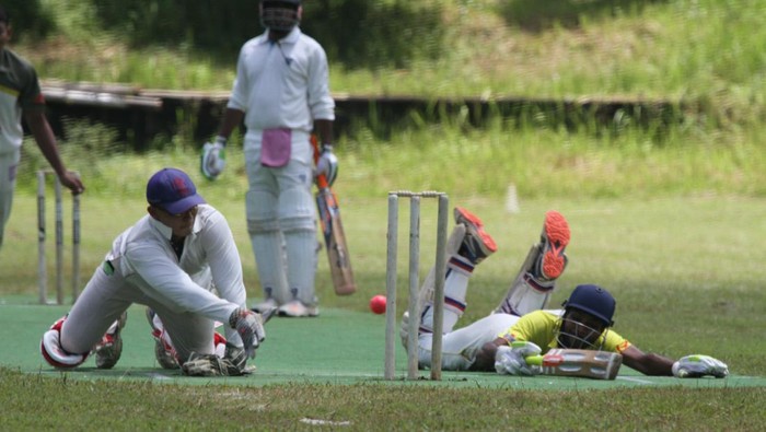 Tim kriket Yadavas Wisci Tigers