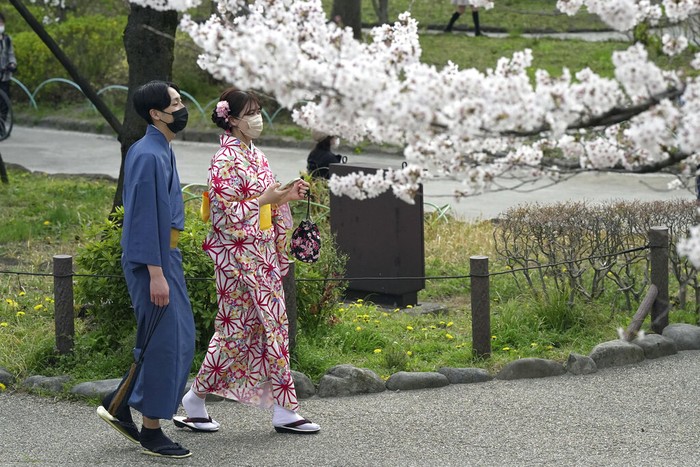 People stop to take pictures as they walk on a sidewalk under a canopy of cherry blossoms Sunday, March 27, 2022, in Tokyo. (AP Photo/Kiichiro Sato)