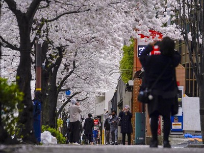 Jepang Bebas Visa buat Turis Individu, Cek Syaratnya