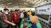 Penjualan atau devisa yang bisa dihemat mencapai US$1,1 miliar. Peninjauan tahap awal investasi di Pangkalan Kerinci, Riau, Selasa (29/3/2022). Airlangga menjelaskan investasi APRIL memberi nilai tambah yang cukup tinggi. Ini akan meningkatkan produksi craft pulp sebesar 1,06 juta ton, 600.000 ton Bleached Chemi-Thermo Mechanical Pulp (BCTMP), dan pabrik Paperboard berkapasitas 1,2 juta ton per tahun. 