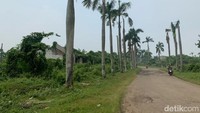 Kemudian pada 1993-1997, PT Hutomo Mandala Putra resmi membangun kawasan industri mobil Timor. Tak lupa dia juga membangun perumahan Perum Karawang Baru sebagai tempat tinggal para pegawai. Sayangnya, proyek ini terkena masalah pembayaran pajak pada tahun 1998, tepat saat Orde Baru tumbang.