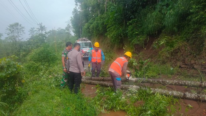 Petugas memotongi pohon yang tumbang menghalangi jalan di Desa Sampetan, Kecamatan Gladagsari, Kabupaten Boyolali, Rabu (30/3/2022).