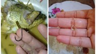 Duh! 5 Netizen Ini Temukan Benda Berbahaya dalam Makanannya