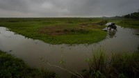 Penghitungan tersebut dibuat oleh tim yang membagi habitat badak besar menjadi beberapa cluster.
