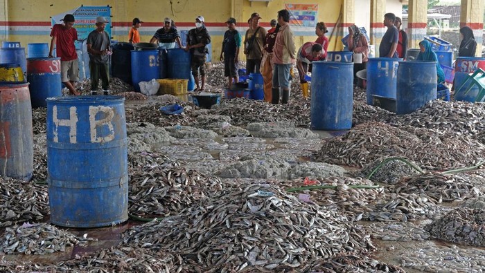 Pedagang dan nelayan bertransaksi ikan di Tempat Pelelangan Ikan (TPI) Tawang, Rowosari, Kendal, Jateng, Kamis (31/3/2022). Menurut nelayan setempat, melimpahnya hasil tangkapan ikan sejak beberapa pekan melimpah dipengaruhi oleh cuaca di Laut Jawa. ANTARA FOTO/Anis Efizudin/rwa.