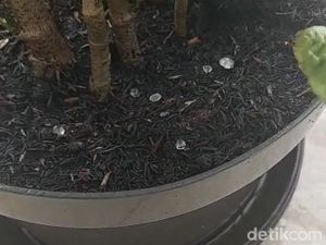 Hujan Es Guyur Surabaya Disertai Petir dan Angin Kencang