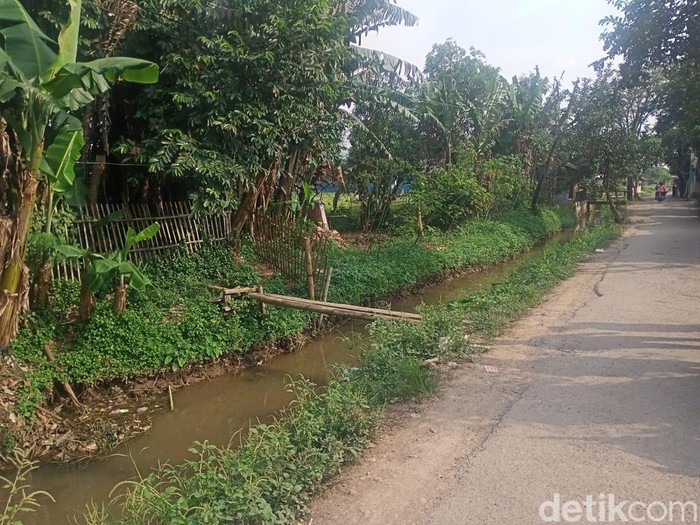 Kebun tempat pemerkosaan