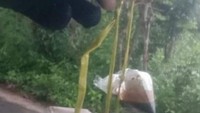 Kalau bungkusan bakso ini bisa dibilang praktis, tidak perlu plastik melainkan diikat satu tali menggunakan tali rafia. Mulai dari bakso, kecap dan saus. Foto: Instagram/Twitter