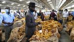 Harumnya Tembakau Zimbabwe, Daun Emas dari Afrika