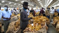 Tembakau adalah penghasil mata uang asing kedua di Zimbabwe setelah emas. Tembakau tersebut diekspor ke  China dan Afrika Selatan. Negara Afrika bagian selatan itu menjual 211 juta kg daun tembakau pada 2021.