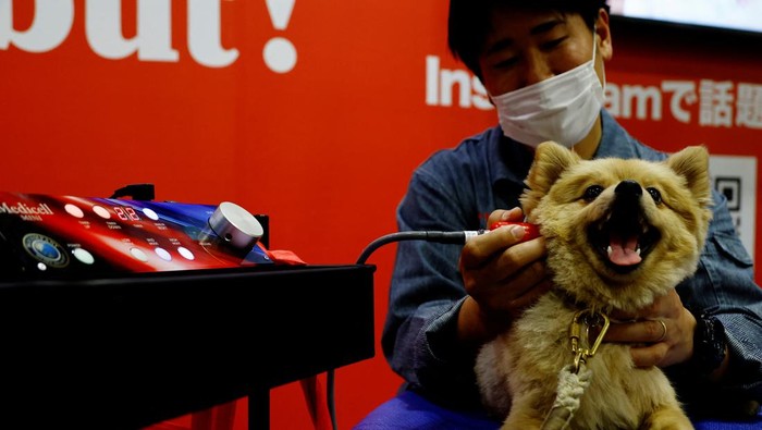 A woman carries her pet dog in a bag while visiting Interpets, an international fair for pet-related products and services, in Tokyo, Japan, March 31, 2022. REUTERS/Kim Kyung-Hoon