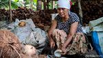 Minyak Goreng Mahal, Ini Andalan Emak-emak di Kulon Progo Buat Masak
