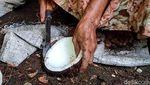 Minyak Goreng Mahal, Ini Andalan Emak-emak di Kulon Progo Buat Masak