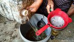 Minyak Goreng Mahal, Ini Andalan Emak-emak di Kulon Progo Buat Masak