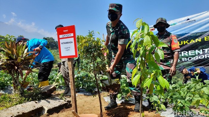 Penanaman pohon di kawasan Taman Nasional Gunung Gede Pangrango