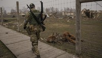 Tentara Ukraina berjalan di dekat seekor hewan yang mati akibat serangan di tengah perang antara Rusia dan Ukraina, Rabu (30/3/2022) waktu setempat.