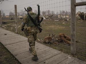 Potret Pilu Hewan di Kebun Binatang Ukraina yang Mati Gegara Perang