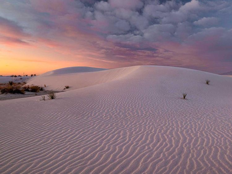 Mirip Hamparan Salju, Ini Taman Nasional Pasir Putih Terluas di Dunia