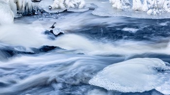 WET Highly Commended karya Pål Hermansen (Norwegia) Foto: WildArt Photographer of the Year
