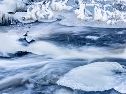 Bikin Terpukau! Ini Karya Jawara Kontes Satwa Liar 2022