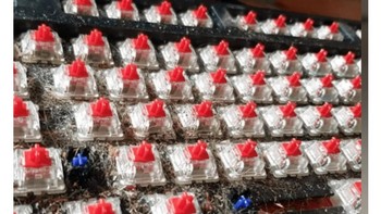 Jika keyboard kamu menjadi keras atau tidak responsif, tak perlu ke teknisi. Jika membersihkannya secara teratur, maka tak hanya mencegah penyebaran bakteri, tetapi juga menjaga tombol dalam kondisi kerja yang sempurna. Foto: Drivepedia