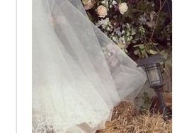 #BinJinWedding Masih Trending, Ini Reaksi Lucu Netizen