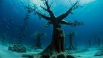 Museum Underwater di Siprus, Ada Hutan Bawah Laut hingga Patung Manusia