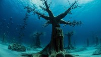 Museum of Underwater Sculpture Ayla Napa (MUSAN) menawarkan pengalaman berbeda untuk wisatawan. Jika biasanya museum ada di daratan, kali ini letaknya ada di bawah laut. (Emily Irving-Swift/Getty Images)
