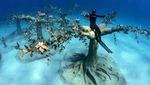 Museum Underwater di Siprus, Ada Hutan Bawah Laut hingga Patung Manusia