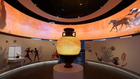 Selain koleksi benda-benda milik legenda dunia, museum itu juga memajang bukti sukses atlet lokal. (AFP/KARIM JAAFAR)