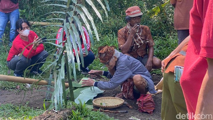 Ritual adat untuk mengevakuasi pohon keramat di Tana Toraja.