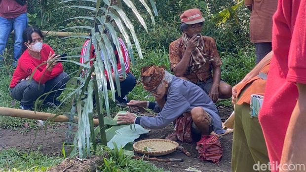 Ritual adat untuk mengevakuasi pohon keramat di Tana Toraja.