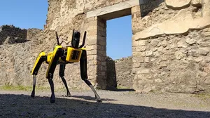 Robot Anjing Jadi Penjaga Reruntuhan Kota Kuno di Italia