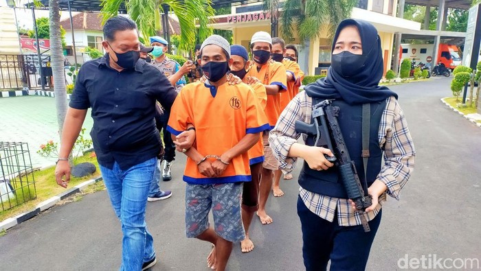 sindikat pencurian sapi di banyuwangi