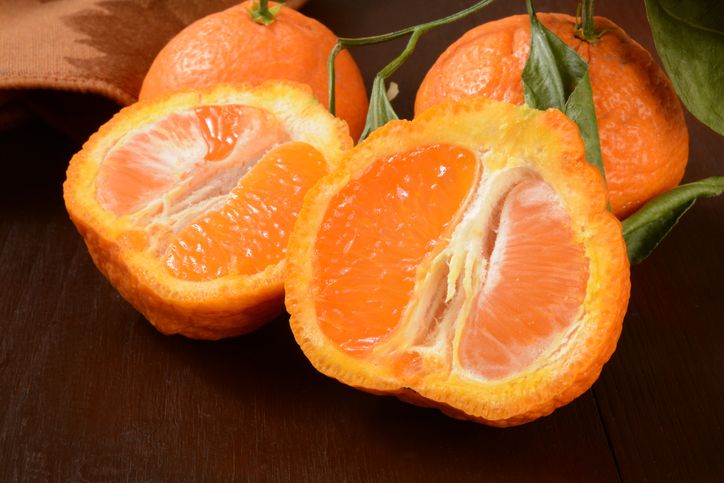 Sumo Oranges, Jeruk Manis Tanpa Biji Asal Jepang yang Viral di Amerika