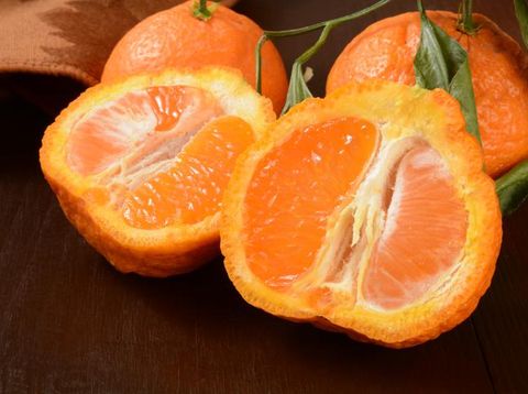 Sumo Oranges, Jeruk Manis Tanpa Biji Asal Jepang yang Viral di Amerika