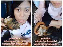 Ekstrem! TikToker Ini Makan Otak Monyet yang Ditangkap dari Kebun