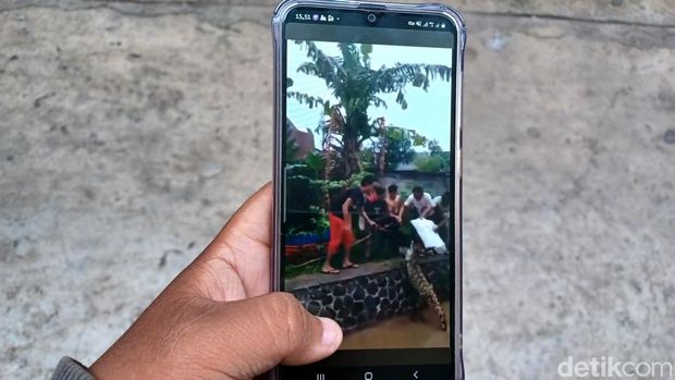 Foto buaya ditangkap di Baleendah, Kabupaten Bandung